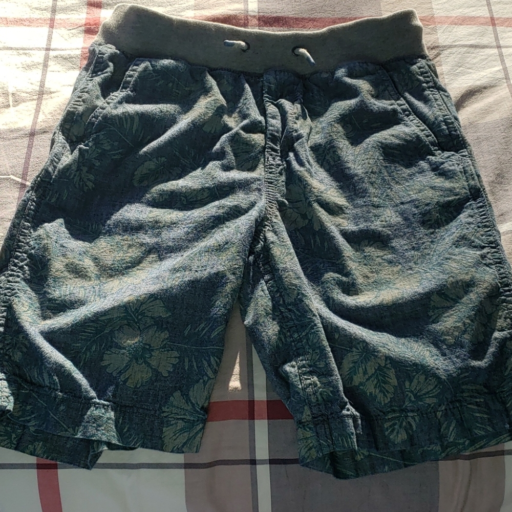Cute shorts excellent condition
